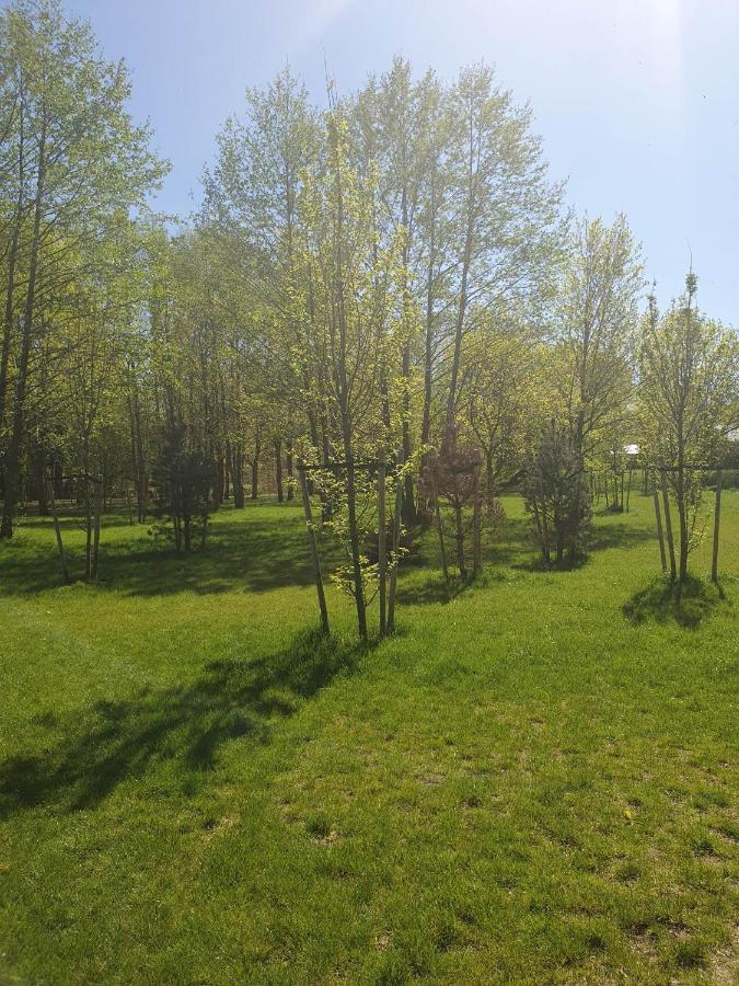 Apartament 3 Pokojowy Lub Pokoj W Mieszkaniu W Nowym Bloku Варшава Екстер'єр фото